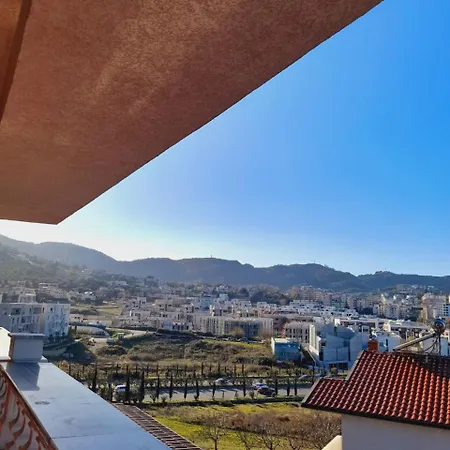 Zen Zen & 4* Tirana